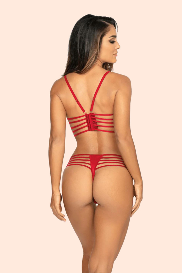Stringid Axami V-10078 - Image 5