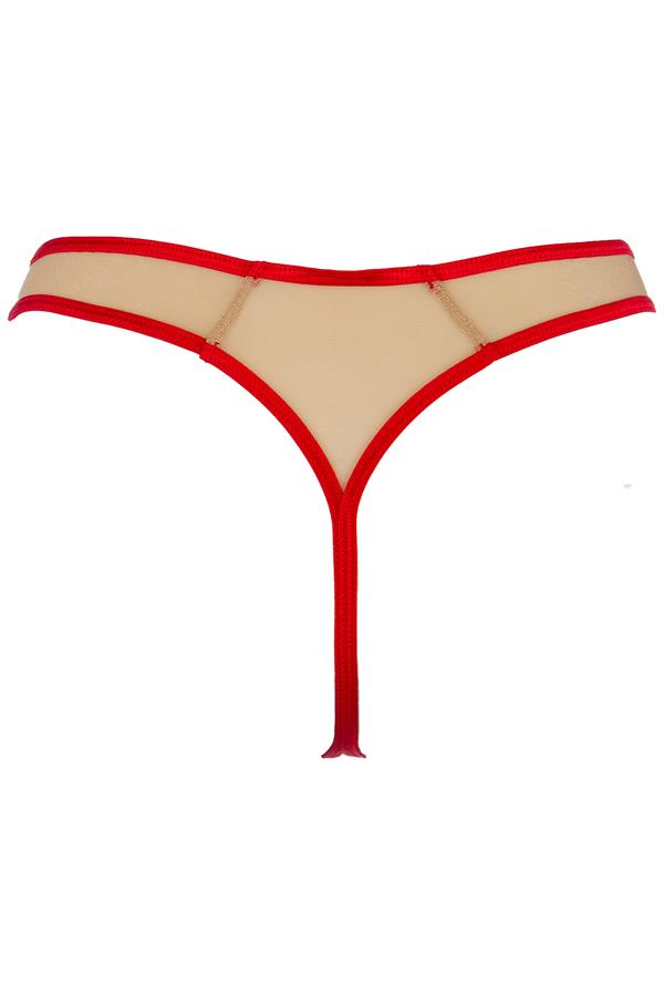 Stringid Axami V-11098 - Image 6