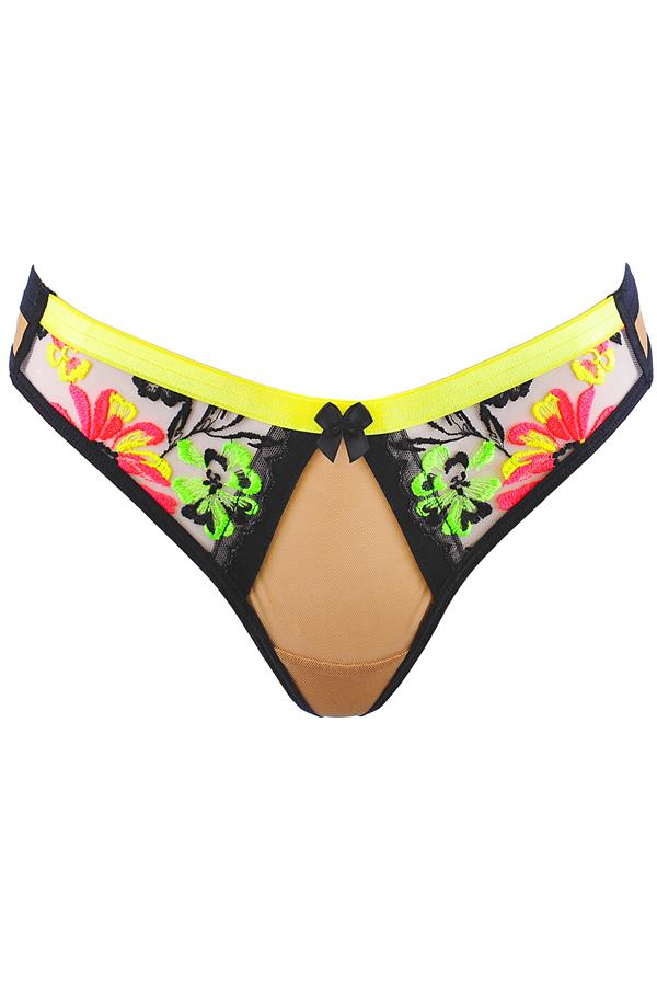 Stringid Axami V-11838 - Image 6