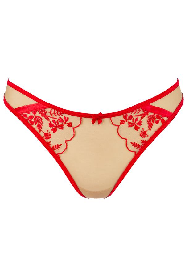 Stringid Axami V-11098 - Image 5